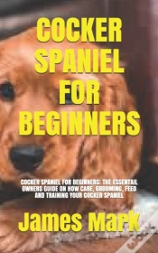 Capa do artigo Cocker Spaniel For Beginners