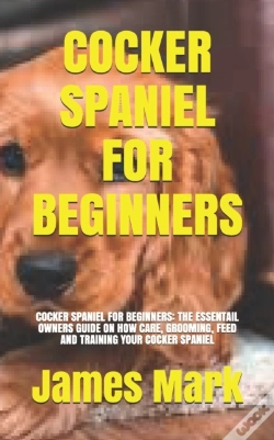 Capa do artigo Cocker Spaniel For Beginners