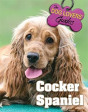Cocker Spaniel - Preview