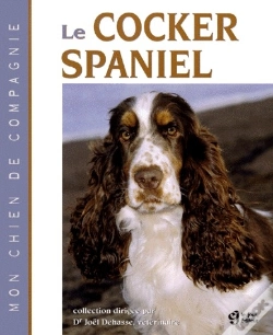 Capa do artigo Cocker Spaniel