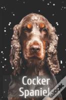 Cocker Spaniel