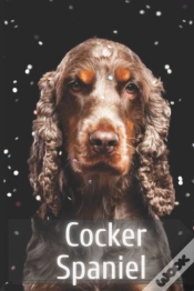 Capa do artigo Cocker Spaniel