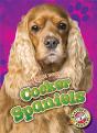 Cocker Spaniels - Preview