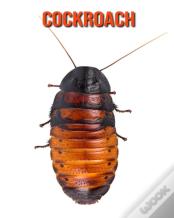 Cockroach