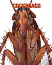Cockroach