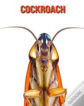 Cockroach