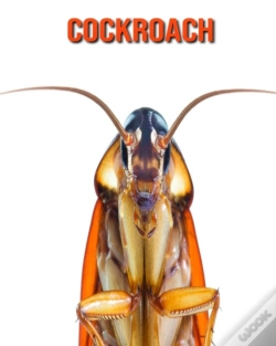 Capa do artigo Cockroach