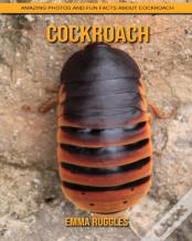 Cockroach