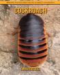 Cockroach - Preview