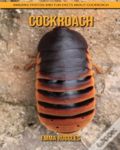 Capa do artigo Cockroach