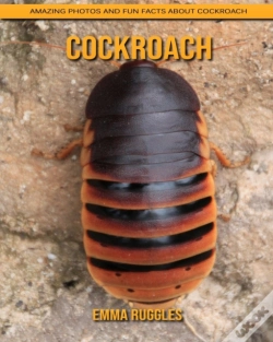 Capa do artigo Cockroach