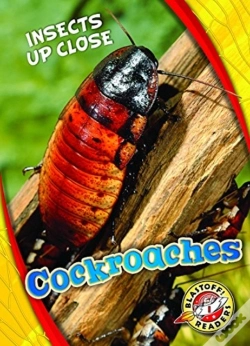 Capa do artigo Cockroaches