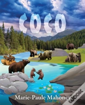 Capa do artigo Coco