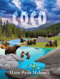 Coco - Preview