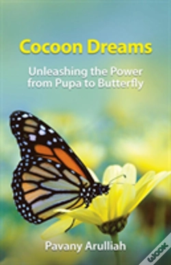 Capa do artigo Cocoon Dreams