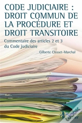 Code Judiciaire : Droit Commun De La Procédure Et Droit Transitoire ; Commentaire Des Articles 2 Et 3 Du Code Judiciaire