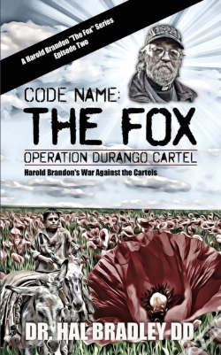 Capa do artigo Code Name