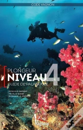 Code Vagnon ; Plongeur Niveau 4 ; Guide De Palanquée
