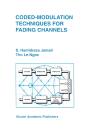 Coded-Modulation Techniques For Fading Channels - Preview