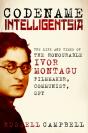 Codename Intelligentsia - Preview