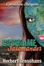 Codename Salamander - Preview