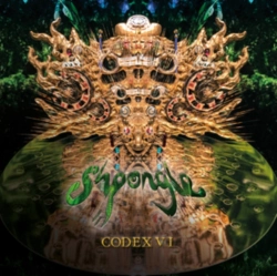 Capa do artigo Codex VI - Vinil