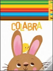 Capa do artigo Coelho