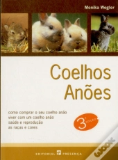 Coelhos Anões