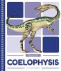 Coelophysis - Preview