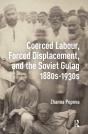 Coerced Labour, Forced Displacement, And The Soviet Gulag, 1880s-1930s - Preview