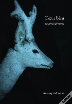 Capa do artigo Coeur Bleu