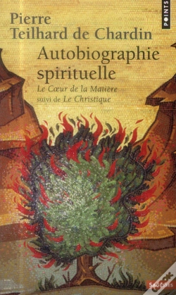 Capa do artigo Coeur De La Matiere (Le)