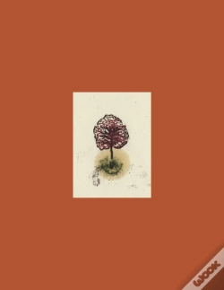 Capa do artigo Coffret Arbres
