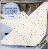 Coffret Nouveaux Pliages De Serviette