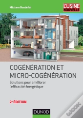 Cogénération Et Micro-Cogénération ; Solutions Pour Améliorer L'Efficacité Énergétique (2e Édition)