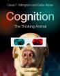 Cognition - Preview