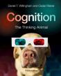 Cognition - Preview