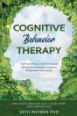 Cognitive Behaviour Therapy - Preview