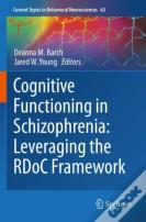 Cognitive Functioning In Schizophrenia: Leveraging The Rdoc Framework