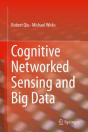 Cognitive Networked Sensing And Big Data - Preview