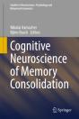 Cognitive Neuroscience Of Memory Consolidation - Preview