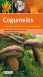 Cogumelos - Preview