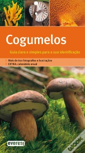 Cogumelos