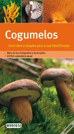 Capa do artigo Cogumelos