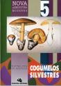 Cogumelos Silvestres - Preview