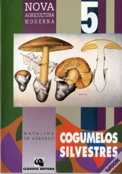Capa do artigo Cogumelos Silvestres