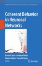 Coherent Behavior In Neuronal Networks - Preview