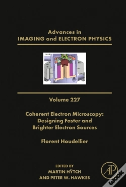 Capa do artigo Coherent Electron Microscopy: Designing Faster And Brighter Electron Sources