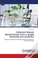 Coherent Raman Spectroscopy From A Single Femtosecond Oscillator