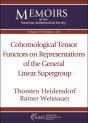 Cohomological Tensor Functors On Representations Of The General Linear Supergroup - Preview